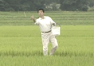 7月　木酢液などの散布